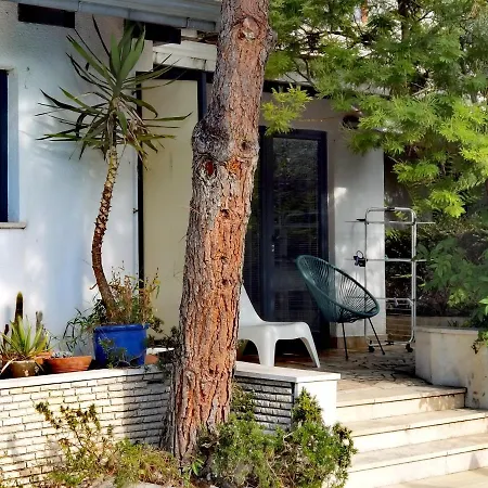 Pine And Lime * Pula