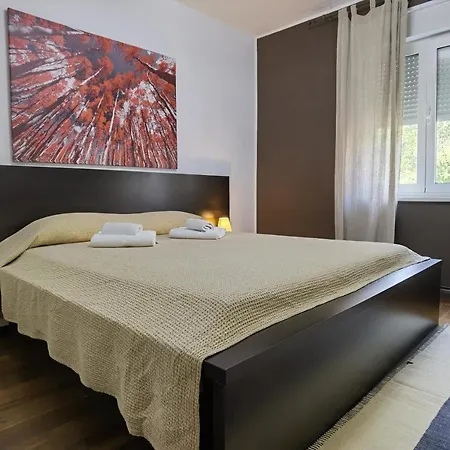 Pine And Lime Apartamento