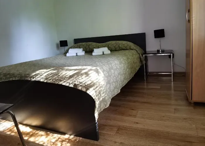 Pine And Lime * 풀라