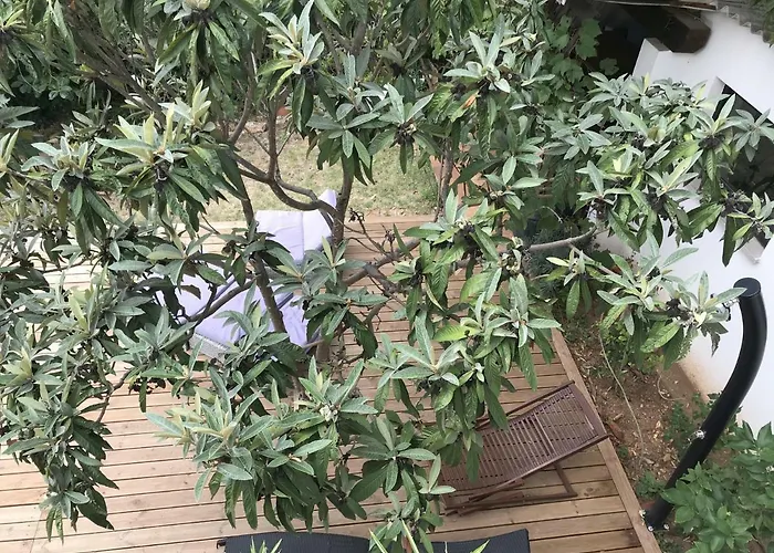 아파트 Pine And Lime *