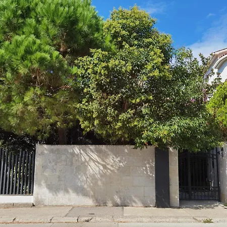 Apartment Pine And Lime