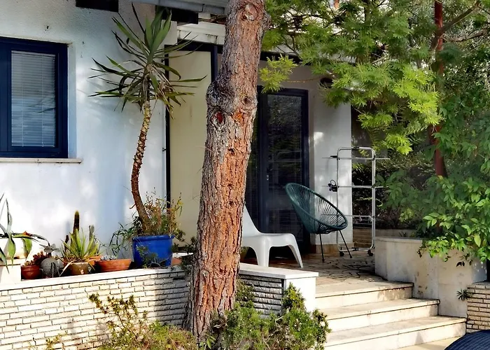 Pine And Lime * Pula