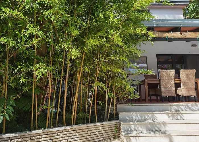 Pine And Lime Пула